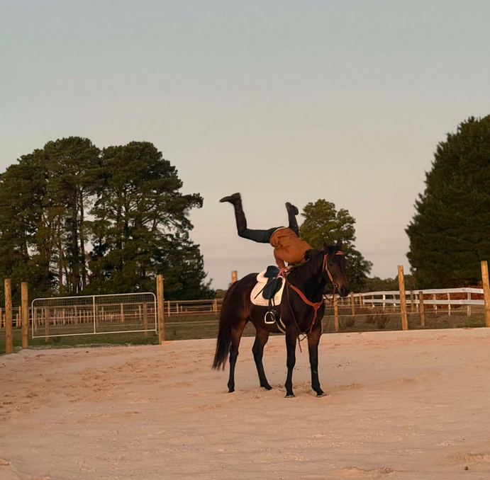 Showoff Paddock at Pikes Ranch
